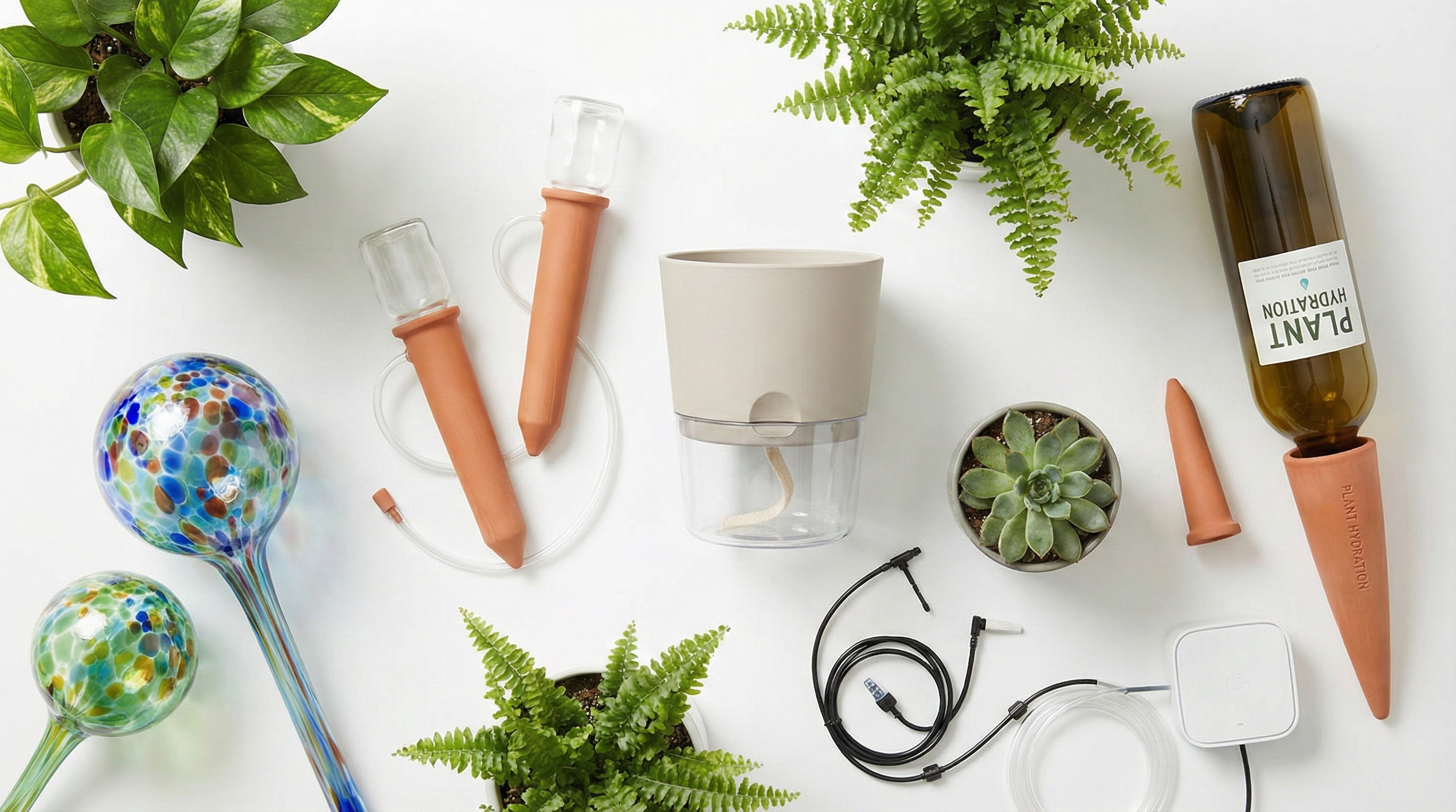 Self-watering systems arranged in attractive display showing variety of methods