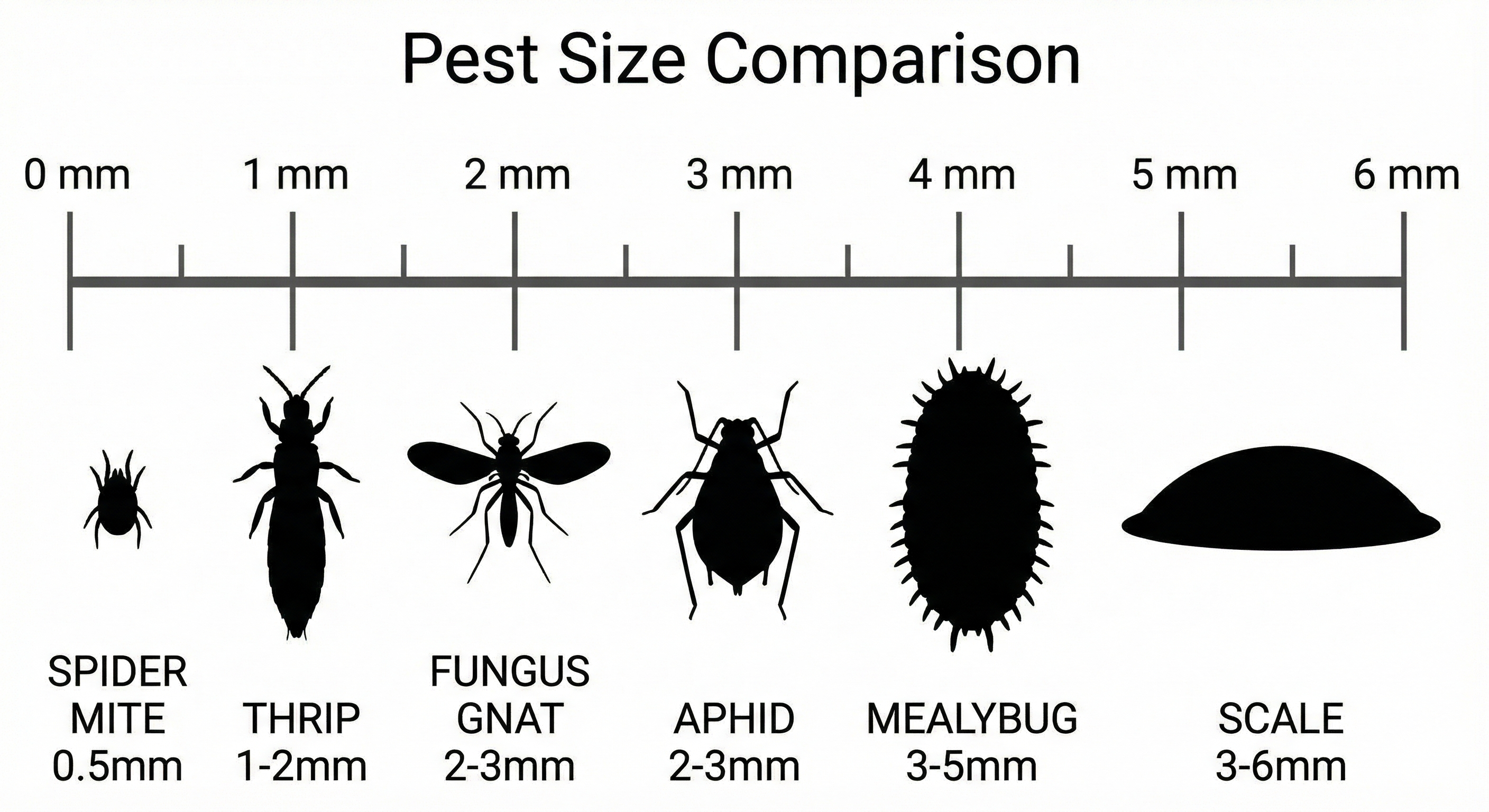 Pest size comparison chart