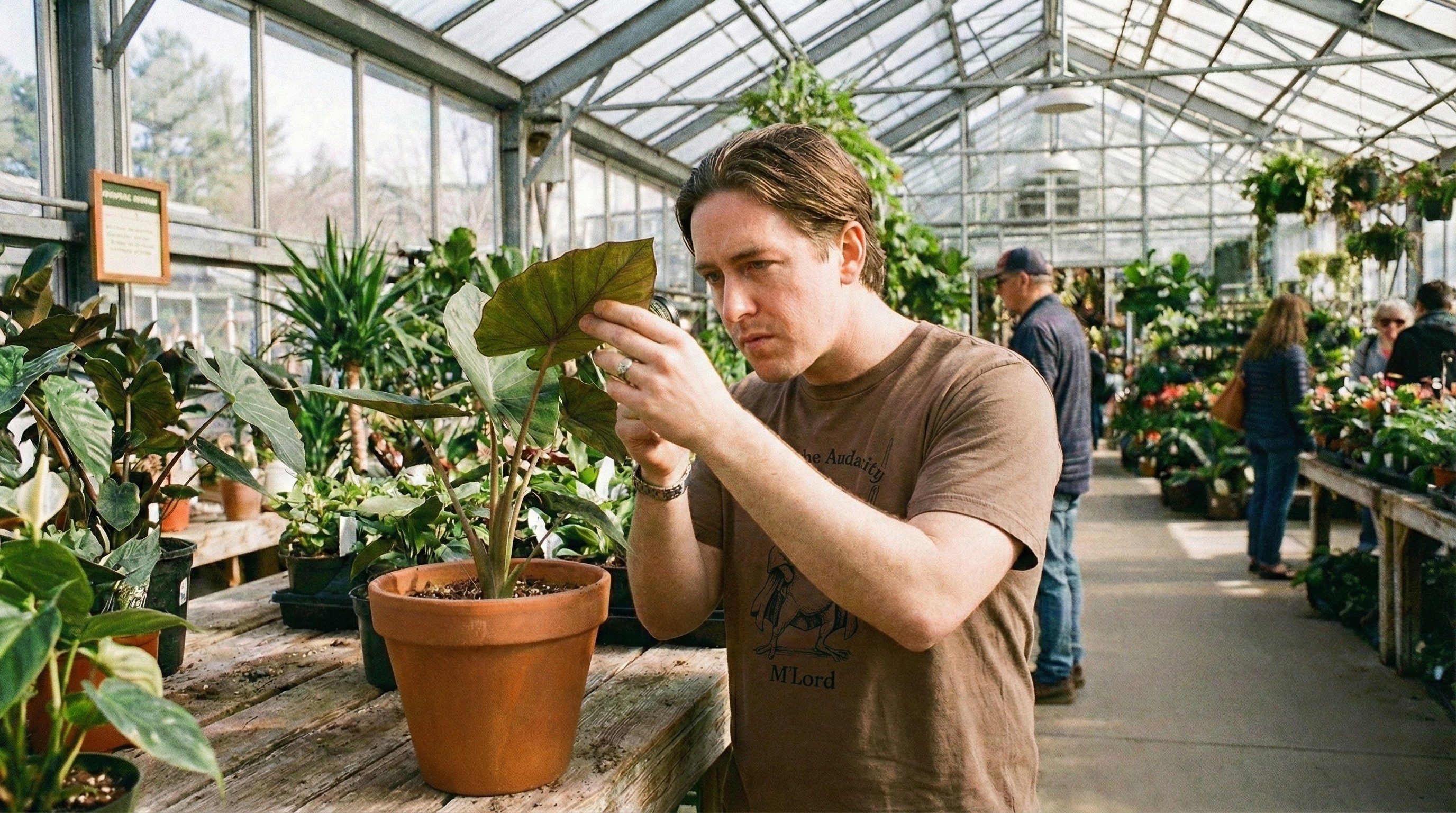 Person examining plants at a nursery